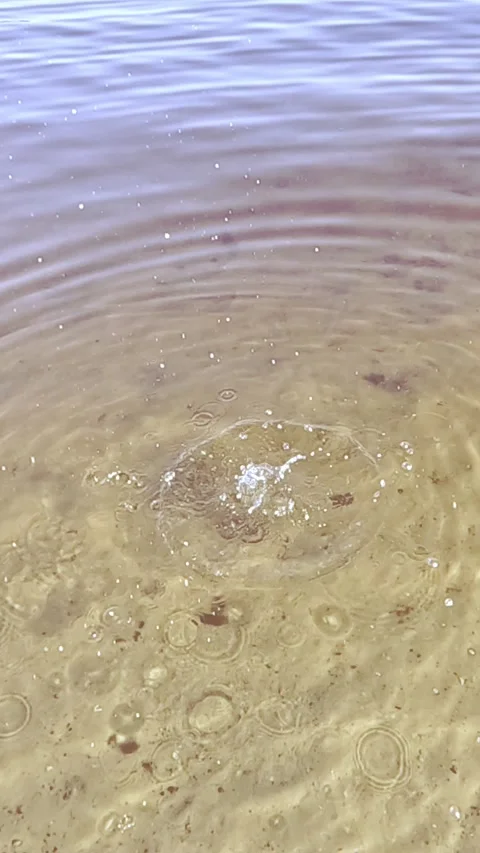 Stone splash creating circular ripples on clear water surface Video stock 317399461