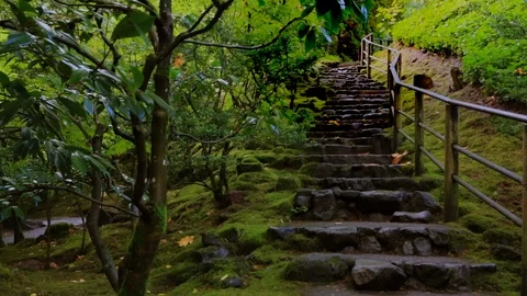 Stone Stair case In Garden Stock Footage 105082946