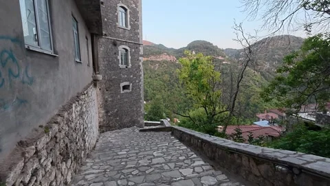 Stone stair path through forested mountain village Stock Footage 327311794