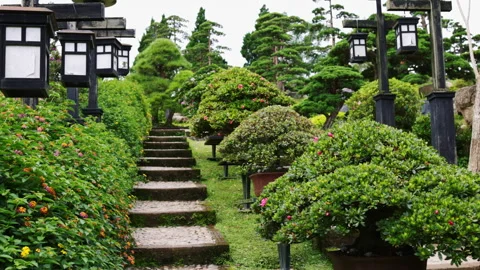 Stone staircase ascending through japanese bonsai garden 库存影片 341963053