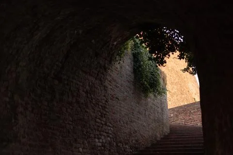 Stone staircase ascends through a dark arched brick passageway within Stock Photos