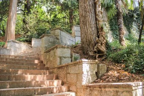 A stone staircase between the trees. Stock Photos