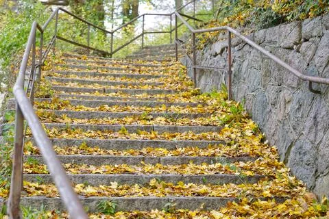Stone Staircase Covered with Autumn Leaves Stock Photos