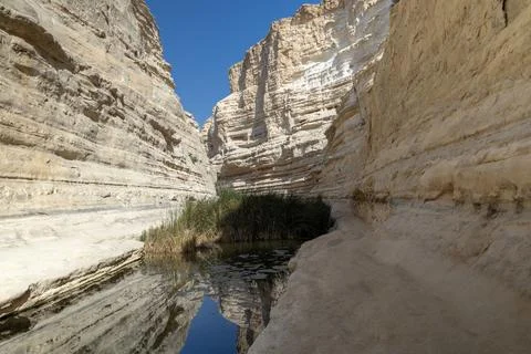 Stone Staircase in Ein Evdat Nature Reserve, Israel Stock Photos