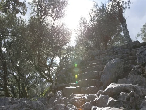 Stone staircase Stock Footage 75080075