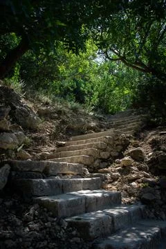 A stone staircase going into the greenery. A Stock Photos