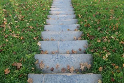 Stone staircase in grass 库存照片