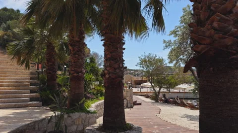 Stone Staircase with Palm Trees at Tropical Resort 4K Cinematic Vídeo Stock 336691983