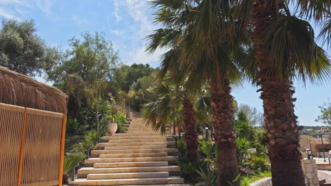 Stone Staircase with Palm Trees at Tropical Resort 4K Cinematic Vidéo 336692053