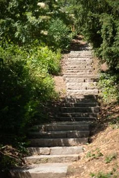 Stone staircase path winds up hill through green summer park trees Stock Photos