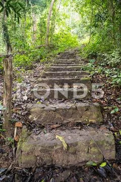 Stone staircase in the wilderness Stock Photos