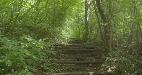 Stone Staircase In The Woods 스톡 동영상 246845975