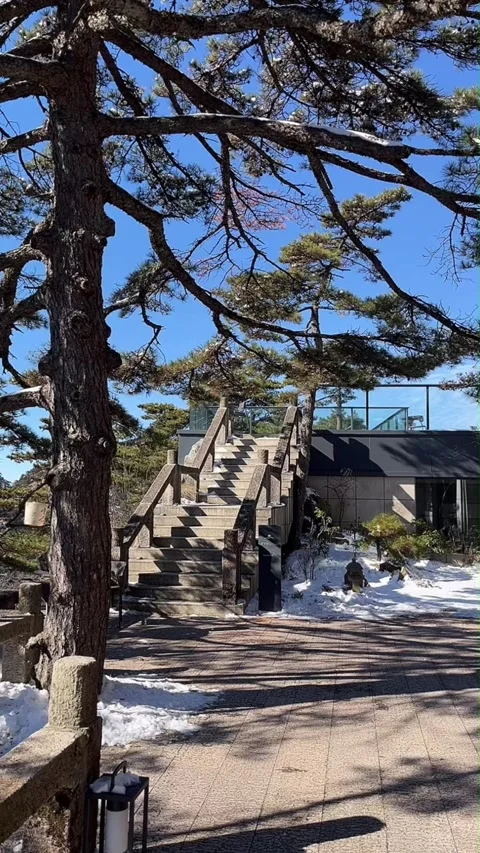 Stone Stairs and Pine Tree in Winter Mountain Park Vertical Video Video stock 326019435