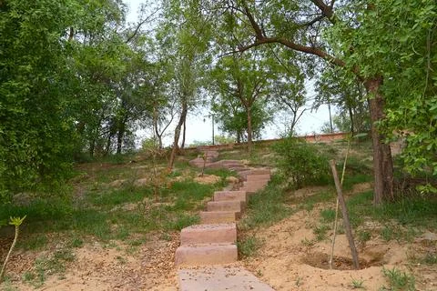 Stone stairs between dense trees Stock Photos
