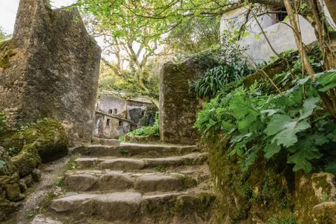 Stone stairs covered moss in Capuchin monastery in Portugal Stock Photos
