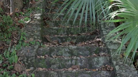 Stone stairs Stock Footage 59516963