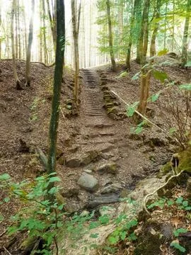 Stone stairs in the forest Stock Photos
