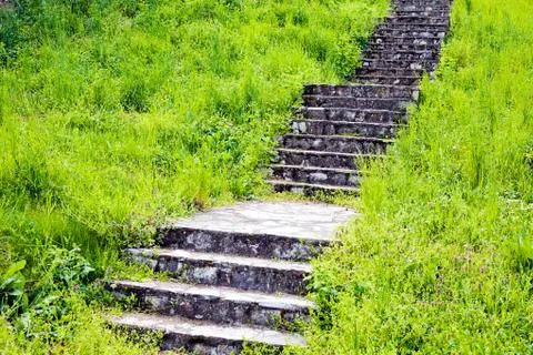 Stone stairs in grass Stock Photos