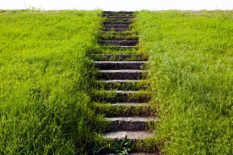 Stone stairs in grass Stock Photos