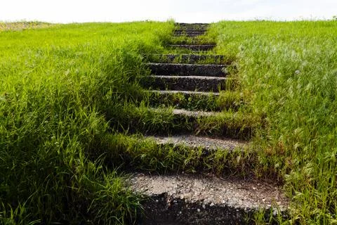 Stone stairs in grass Stock Photos