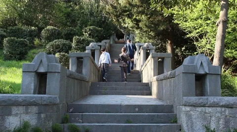 Stone stairs in the old park. Vídeo Stock 49520166