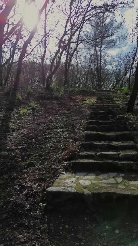 Stone Stairs Path Through Burnt Forest and Charred Trees 스톡 동영상 331221438