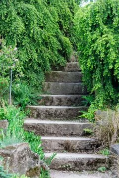 Stone stairs Stock Photos