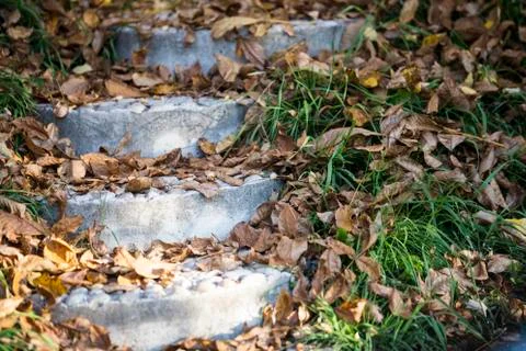 Stone stairs Stock Photos