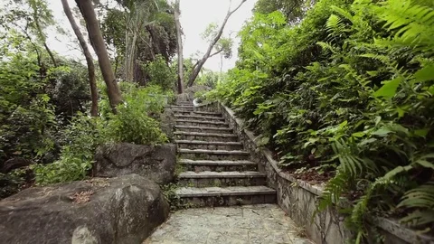 Stone stairways in tropical rainforest Stock Footage 80360552