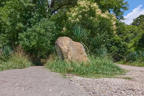 The stone stands in the way of two paths. Stock Photos
