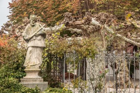 Stone statue with colored leaves of a tree and ivy Фото