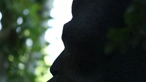 A stone statue Video stock 320636417