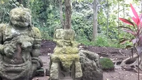 Stone Statues in Tropical Fores Stock Footage 329242414
