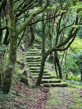 Stone Step Trail In Woods Stock Photos