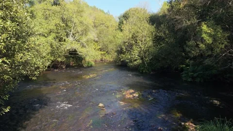 Stone Steps Across The  River. Aerial Drone Shot Stock Footage 321544991