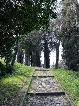 Stone steps along a forest path in Brisighella, Italy Stock Photos