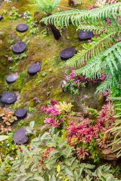 Stone steps and green moss decoration in japanese garden. Stock Photos