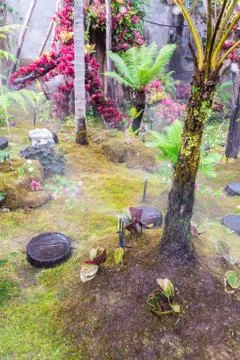 Stone steps and green moss decoration in japanese garden. Stock Photos