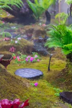 Stone steps and green moss decoration in japanese garden. Stock Photos