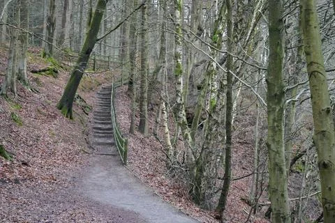 Stone Steps Ascend A Mossy Forest Path In Derwent Dam, Peak District, England. Stock Photos