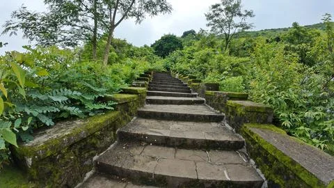 Stone steps ascend through vibrant greenery on a mountainside 库存照片