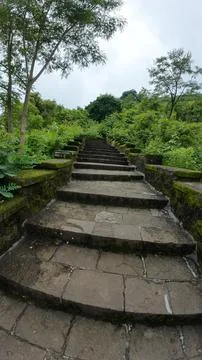 Stone steps ascend through vibrant greenery on a mountainside 库存照片