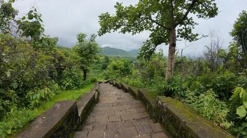 Stone steps ascend through vibrant greenery on a mountainside 库存照片