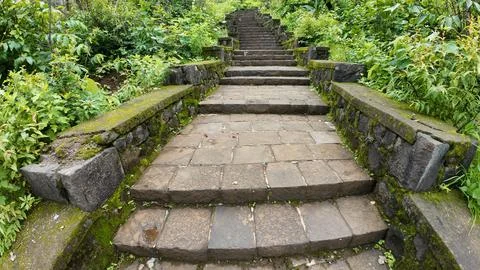 Stone steps ascend through vibrant greenery on a mountainside Photos