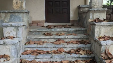 Stone steps covered in fallen leaves near a closed door. Stock Footage 312678612