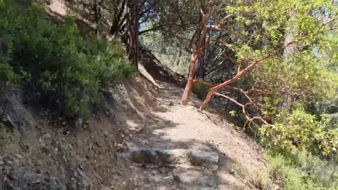 Stone steps in Cyprus mountain gorge trail Stock Footage 328098487
