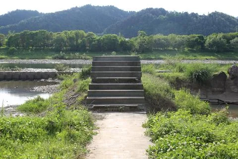 Stone steps facing a river channel surrounded by lush greenery and tree-cov.. Stock Photos