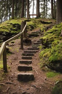 Stone Steps on a Forest Path in Saxony Stock Photos