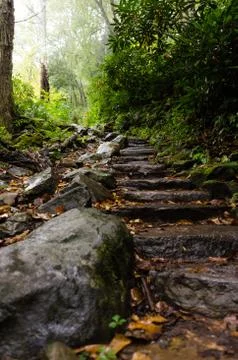 Stone steps on forest walking trail Stock Photos