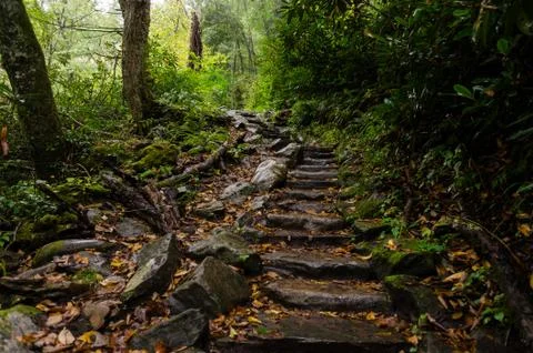Stone steps on forest walking trail Stock Photos